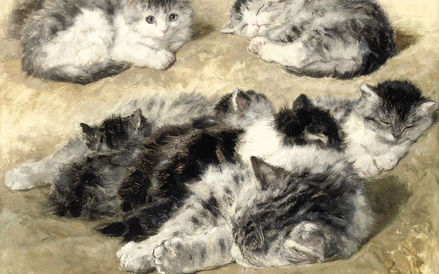 Henriette Ronner-Knip