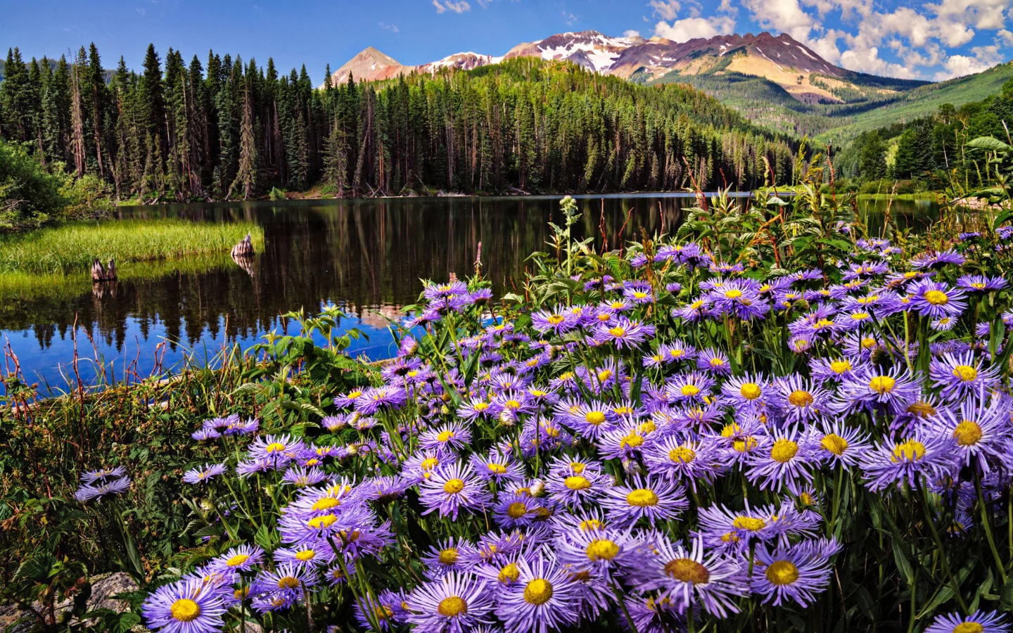 Naturaleza