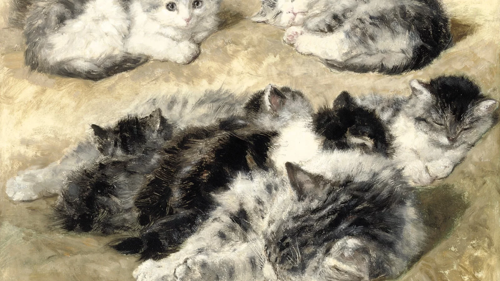 Henriette Ronner-Knip