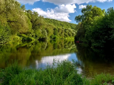 Naturaleza