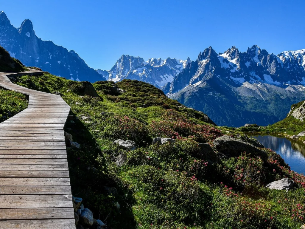 Hermoso para pasear