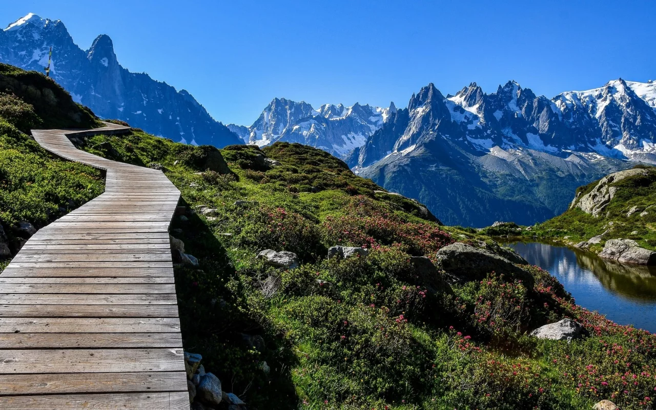 Hermoso para pasear