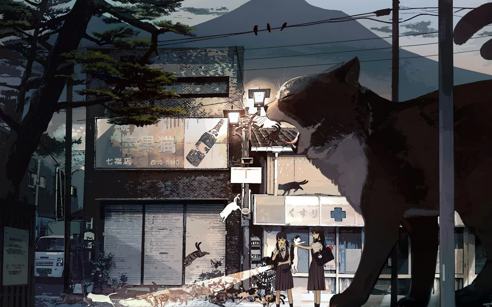 Кошки
