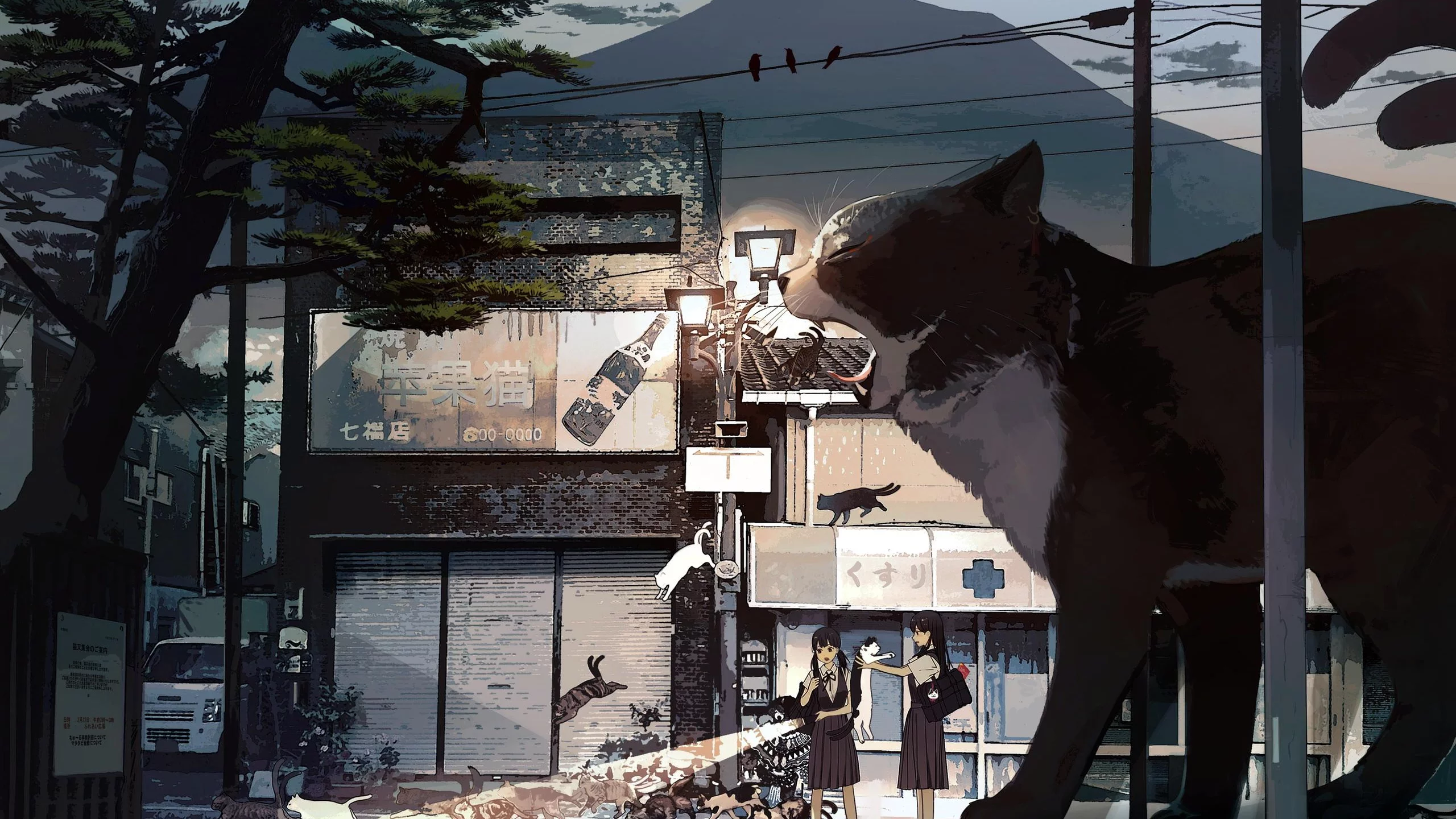 Кошки
