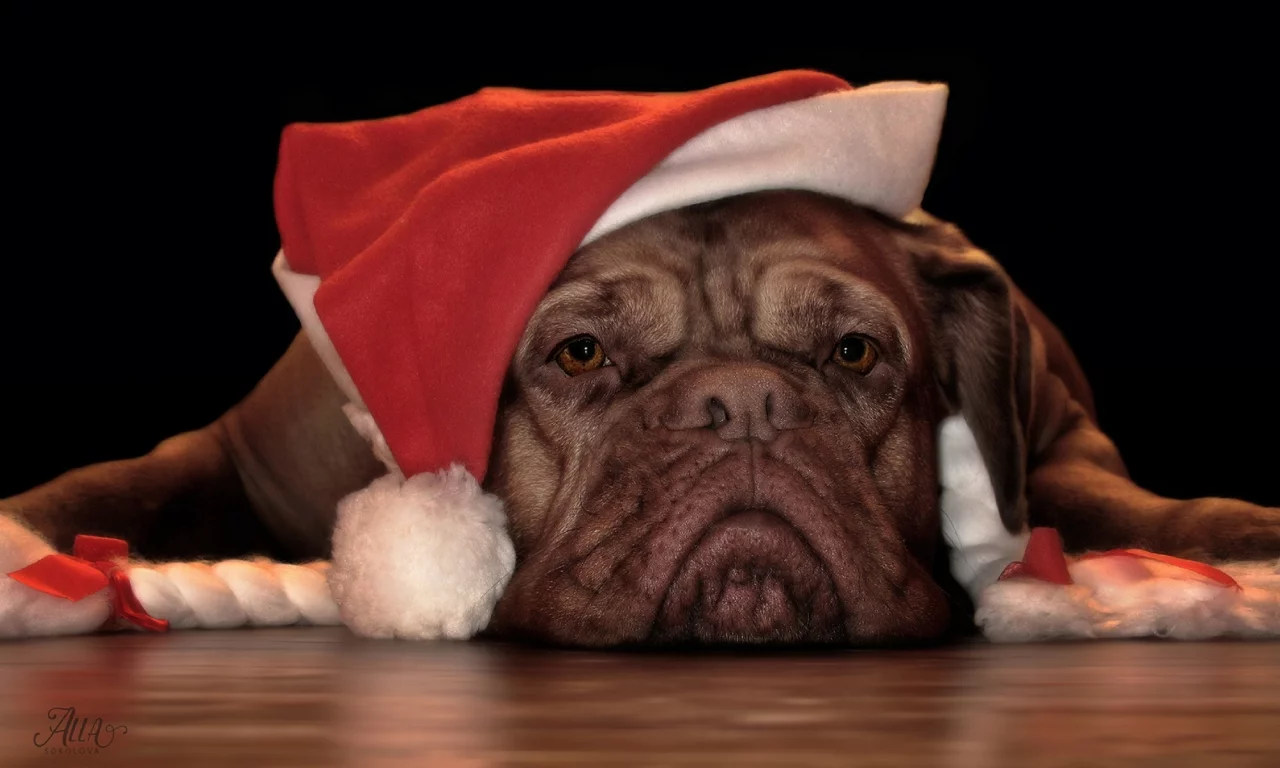 Me aburren las Navidades