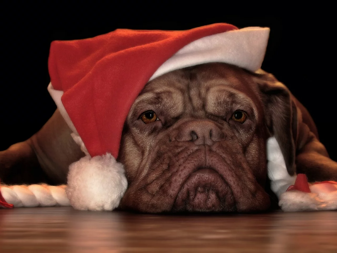 Me aburren las Navidades