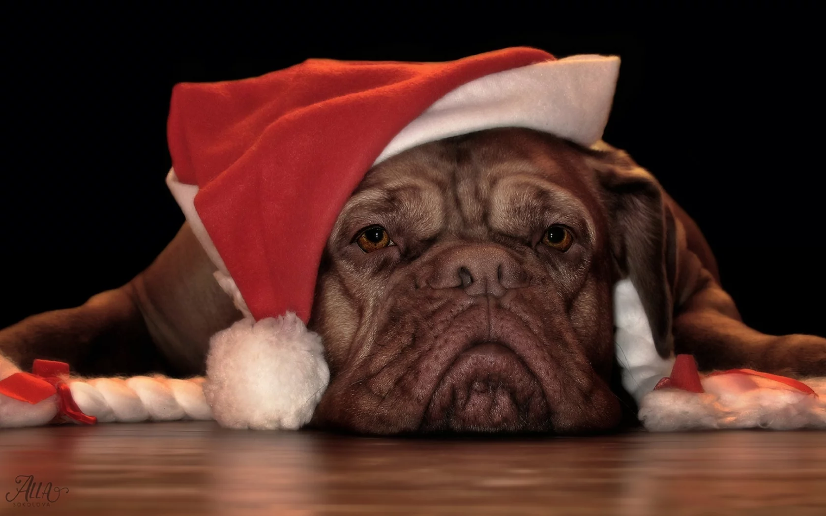 Me aburren las Navidades