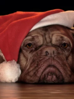Me aburren las Navidades
