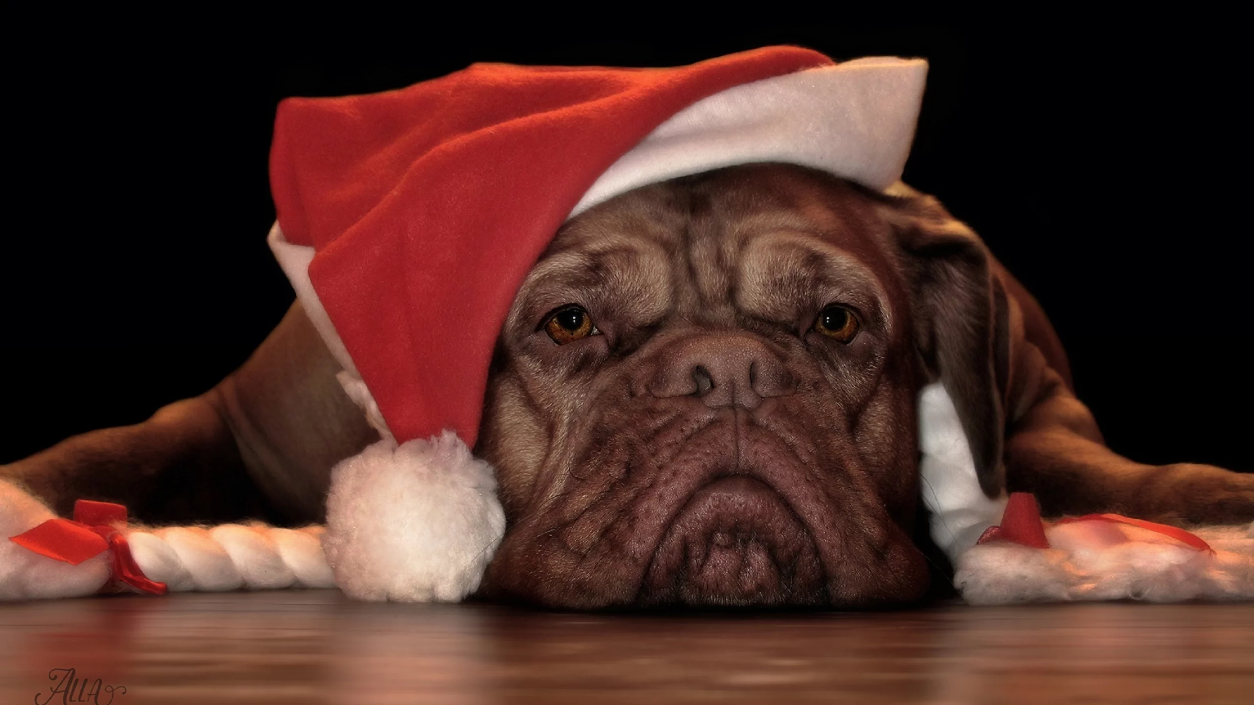 Me aburren las Navidades