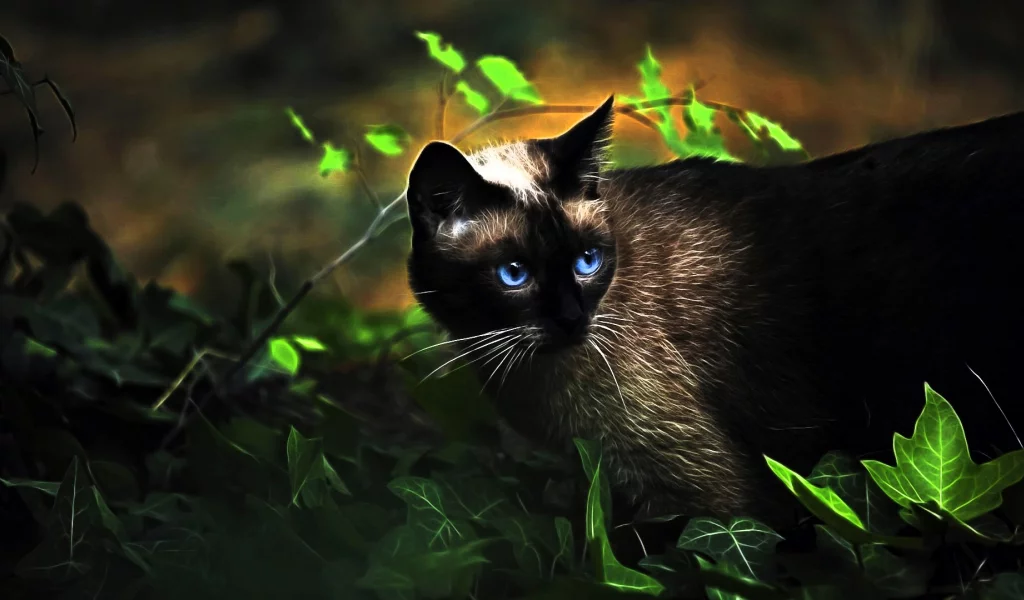 Кот