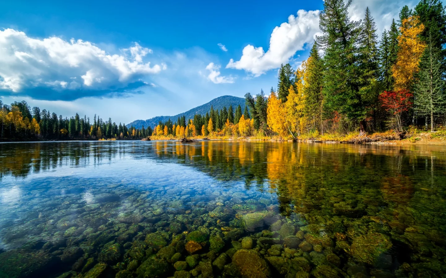 Осень