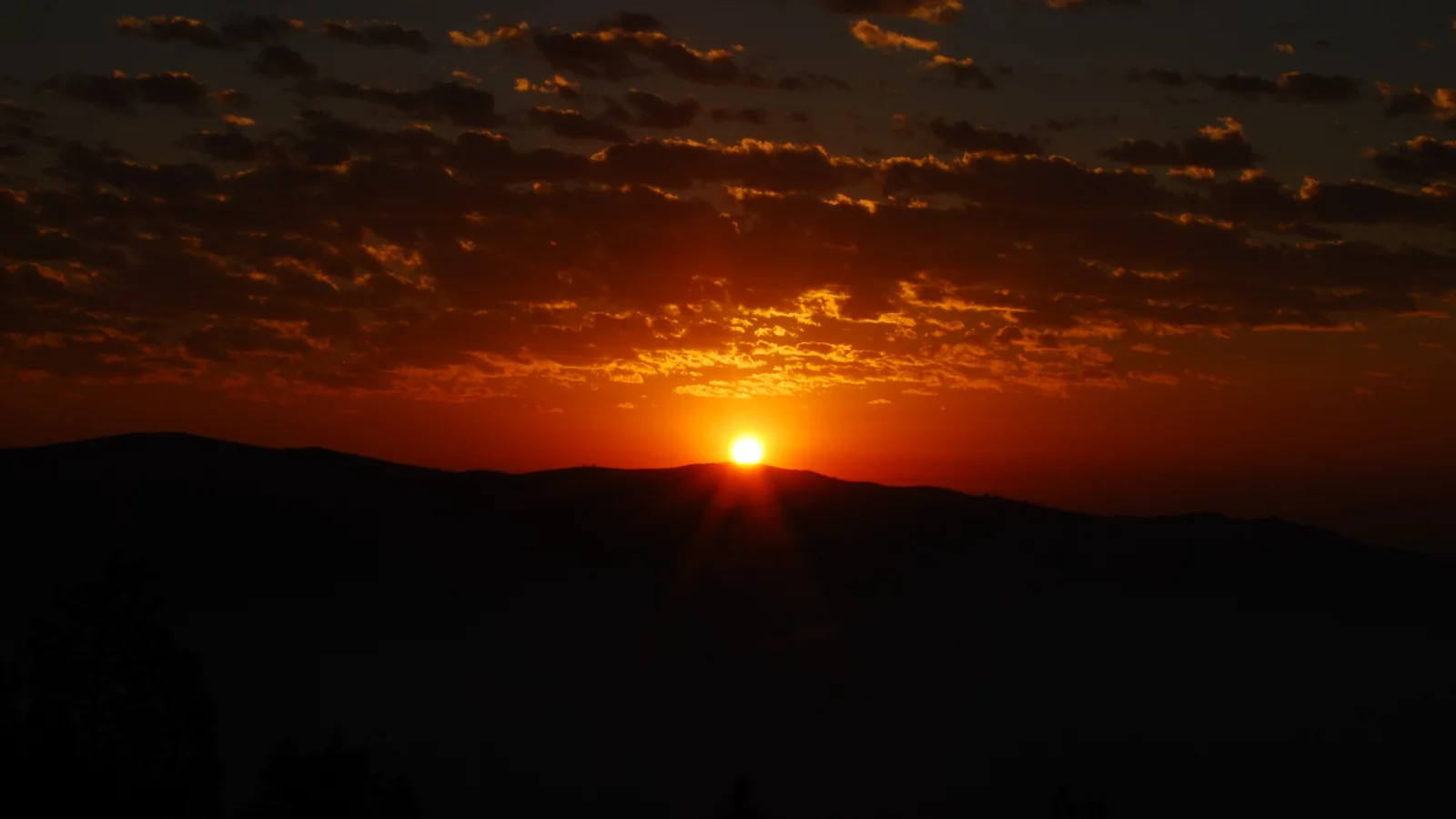 природа