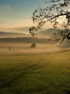 Утро