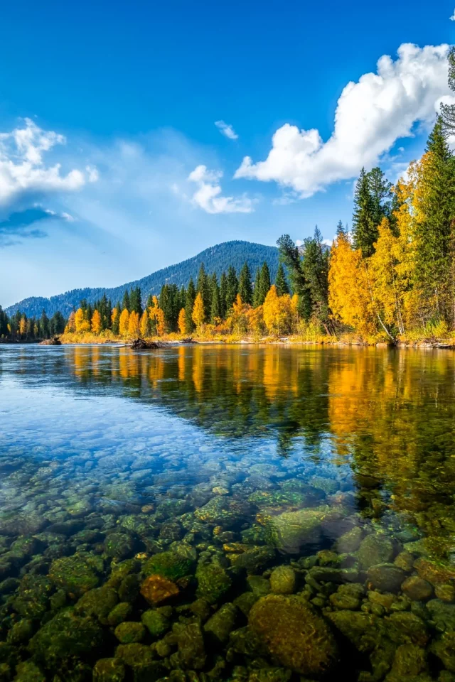 Осень