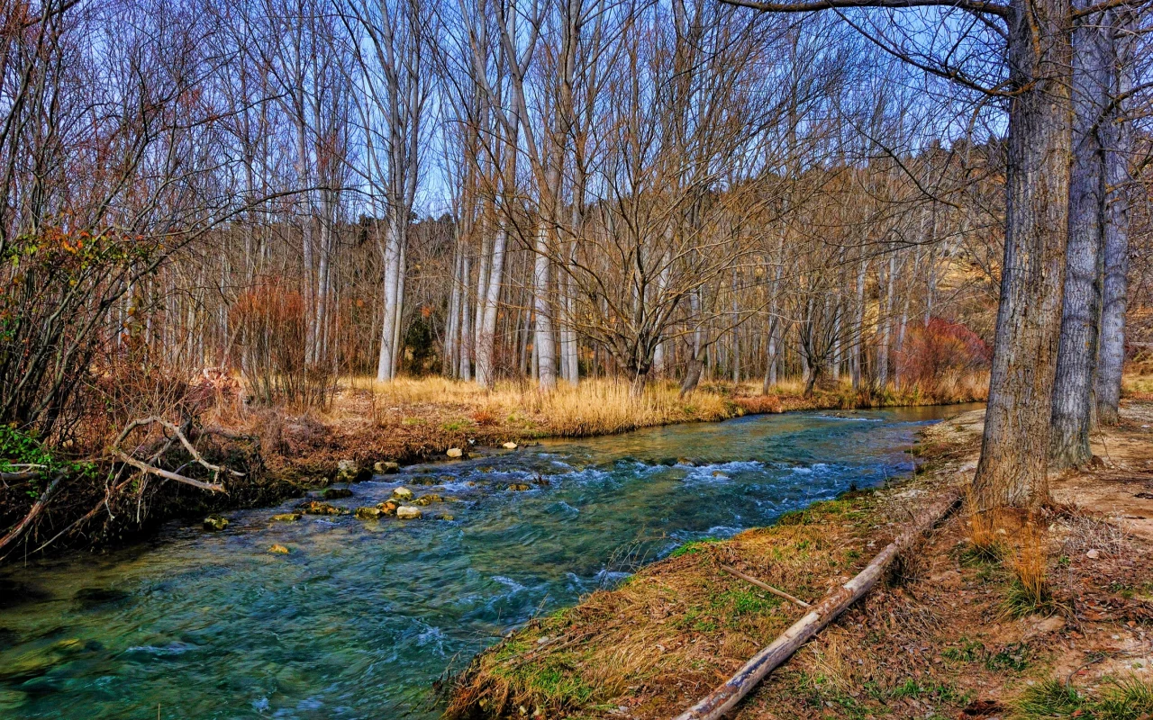Река