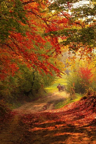 Осень