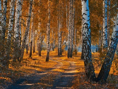 осень