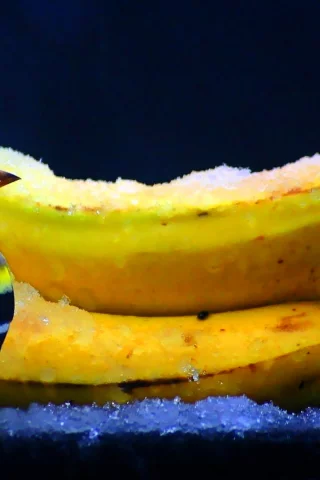 Птица