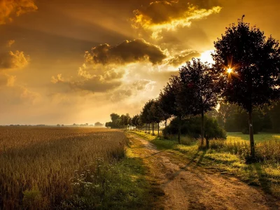 природа
