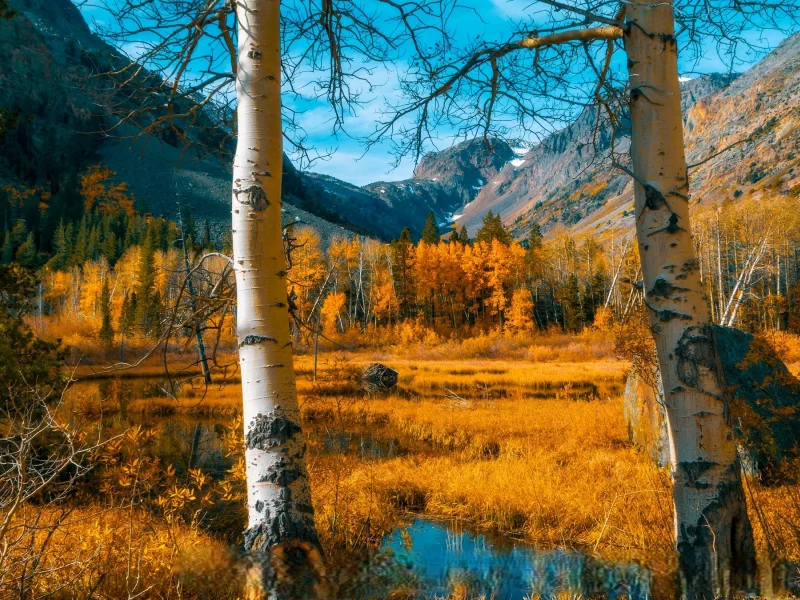 Осень