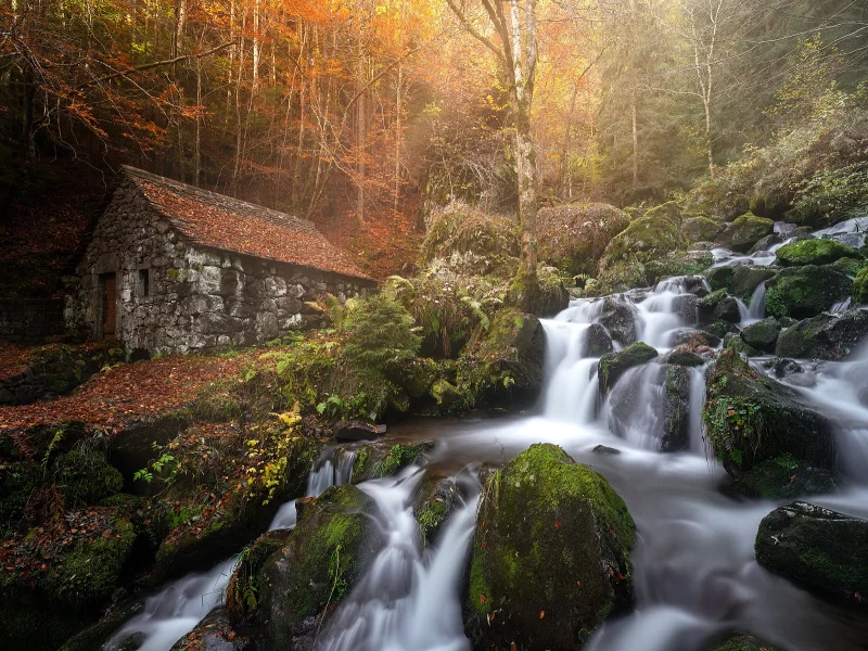 природа