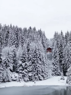 пейзаж